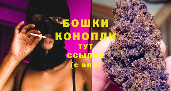 ГАЛЛЮЦИНОГЕННЫЕ ГРИБЫ Дмитровск