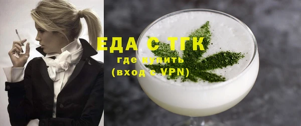 стаф Ельня