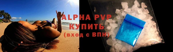 стаф Ельня