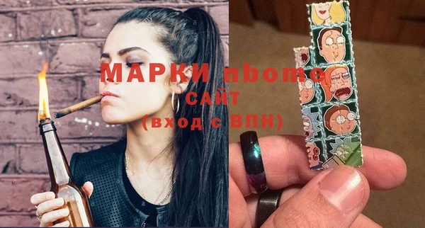 стаф Ельня