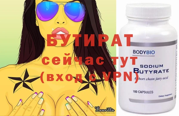стаф Ельня