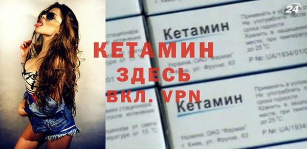 стаф Ельня