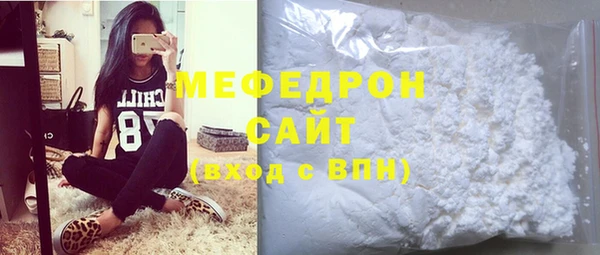 стаф Ельня
