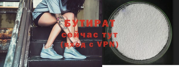 стаф Ельня